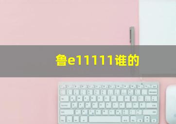 鲁e11111谁的