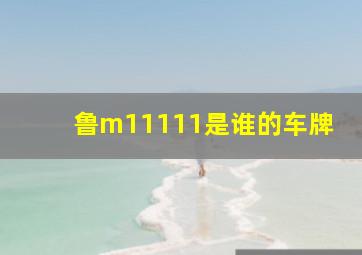 鲁m11111是谁的车牌