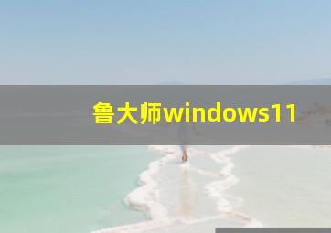 鲁大师windows11