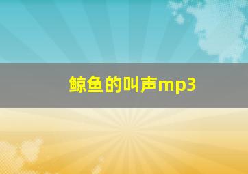 鲸鱼的叫声mp3