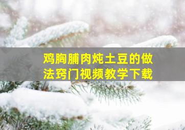 鸡胸脯肉炖土豆的做法窍门视频教学下载