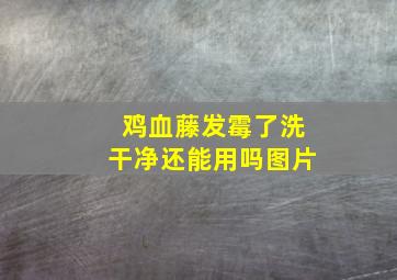 鸡血藤发霉了洗干净还能用吗图片