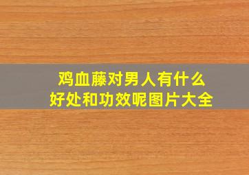 鸡血藤对男人有什么好处和功效呢图片大全