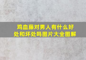 鸡血藤对男人有什么好处和坏处吗图片大全图解