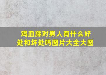 鸡血藤对男人有什么好处和坏处吗图片大全大图