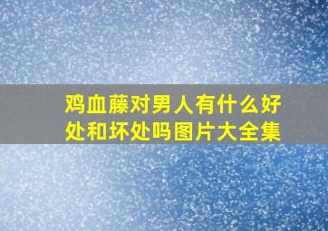 鸡血藤对男人有什么好处和坏处吗图片大全集