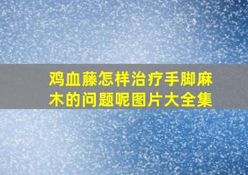 鸡血藤怎样治疗手脚麻木的问题呢图片大全集