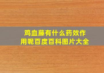 鸡血藤有什么药效作用呢百度百科图片大全