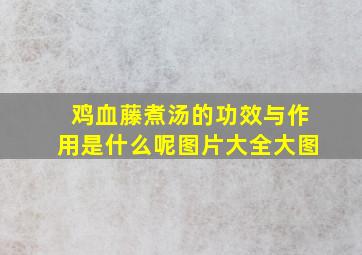 鸡血藤煮汤的功效与作用是什么呢图片大全大图