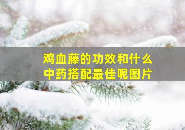 鸡血藤的功效和什么中药搭配最佳呢图片