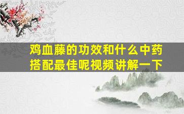 鸡血藤的功效和什么中药搭配最佳呢视频讲解一下