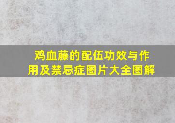 鸡血藤的配伍功效与作用及禁忌症图片大全图解