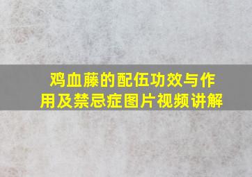 鸡血藤的配伍功效与作用及禁忌症图片视频讲解