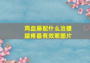 鸡血藤配什么治腰腿疼最有效呢图片