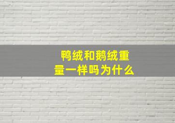 鸭绒和鹅绒重量一样吗为什么