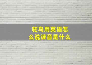 鸵鸟用英语怎么说读音是什么