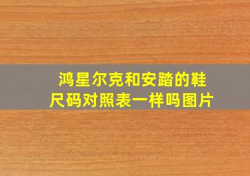 鸿星尔克和安踏的鞋尺码对照表一样吗图片