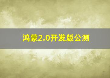 鸿蒙2.0开发版公测