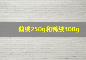 鹅绒250g和鸭绒300g