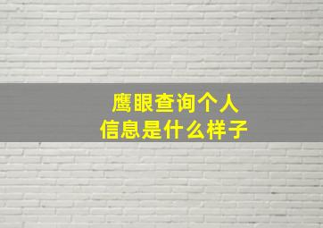 鹰眼查询个人信息是什么样子