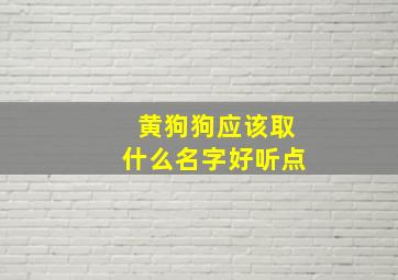 黄狗狗应该取什么名字好听点