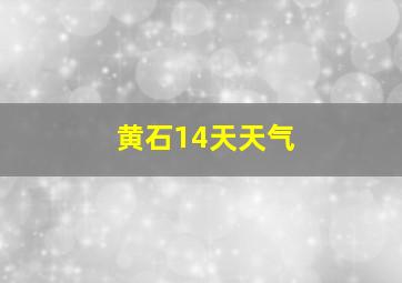 黄石14天天气