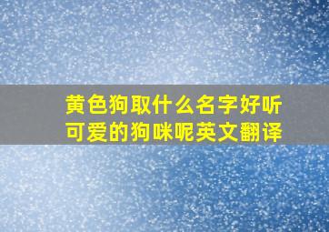 黄色狗取什么名字好听可爱的狗咪呢英文翻译