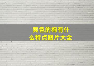 黄色的狗有什么特点图片大全