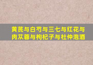 黄芪与白芍与三七与红花与肉苁蓉与枸杞子与杜仲泡酒