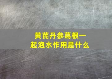 黄芪丹参葛根一起泡水作用是什么