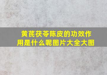 黄芪茯苓陈皮的功效作用是什么呢图片大全大图