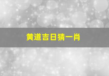 黄道吉日猜一肖