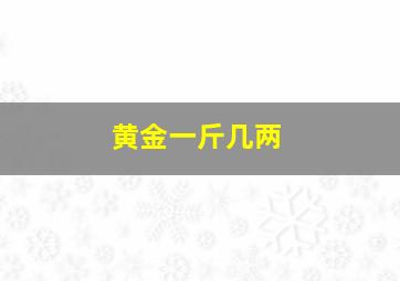 黄金一斤几两