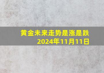 黄金未来走势是涨是跌2024年11月11日