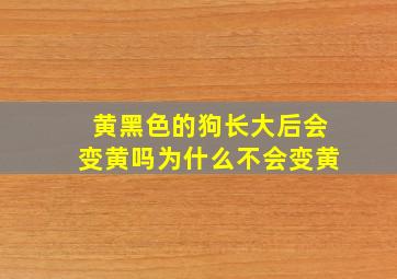 黄黑色的狗长大后会变黄吗为什么不会变黄