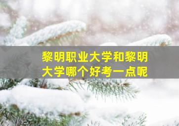 黎明职业大学和黎明大学哪个好考一点呢