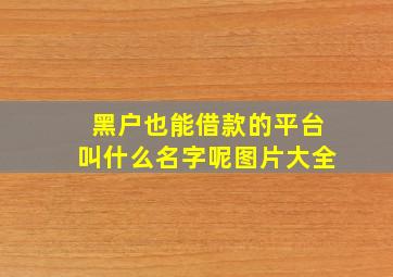 黑户也能借款的平台叫什么名字呢图片大全