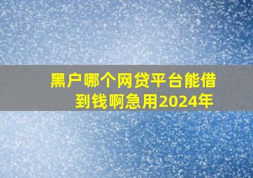 黑户哪个网贷平台能借到钱啊急用2024年