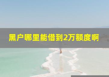 黑户哪里能借到2万额度啊