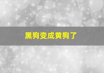 黑狗变成黄狗了