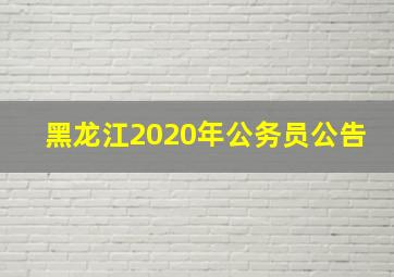 黑龙江2020年公务员公告