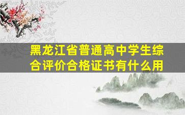 黑龙江省普通高中学生综合评价合格证书有什么用