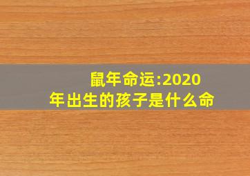 鼠年命运:2020年出生的孩子是什么命