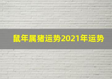 鼠年属猪运势2021年运势