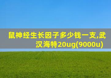 鼠神经生长因子多少钱一支,武汉海特20ug(9000u)