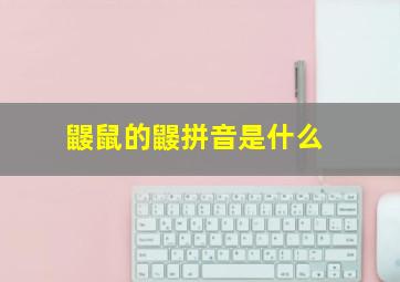 鼹鼠的鼹拼音是什么