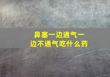 鼻塞一边通气一边不通气吃什么药