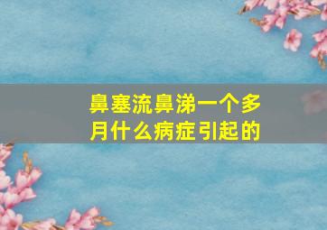 鼻塞流鼻涕一个多月什么病症引起的