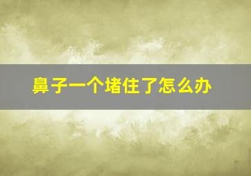 鼻子一个堵住了怎么办