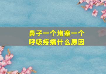 鼻子一个堵塞一个呼吸疼痛什么原因